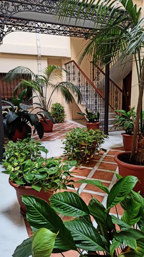 Botanic Suite Μάλαγα Εξωτερικό φωτογραφία