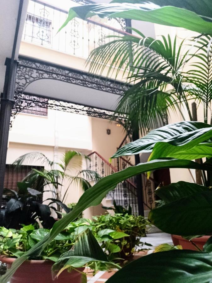 Botanic Suite Μάλαγα Εξωτερικό φωτογραφία